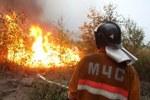 На территории Республики Коми зарегистрированы два первых лесных пожара