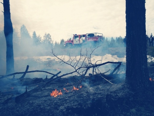 В Коми прошла тренировка по тушению крупного лесного пожара