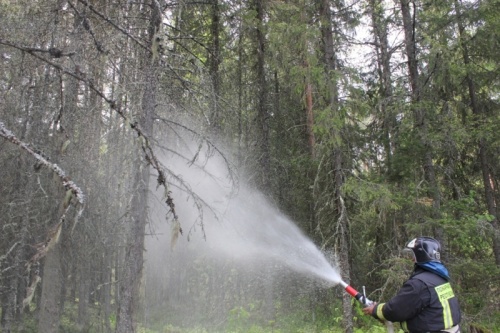Как защитить населенные пункты от лесных пожаров